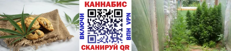 Купить где  Бородино  Canna-Cookies конопля 