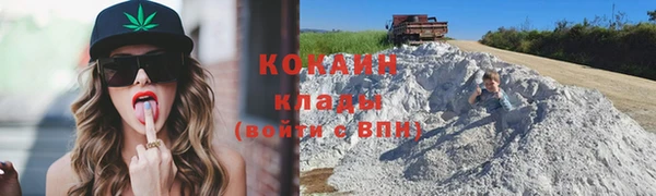 кокс Алексин