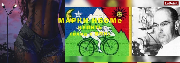 кокс Алексин