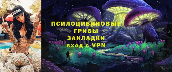 кокс Алексин