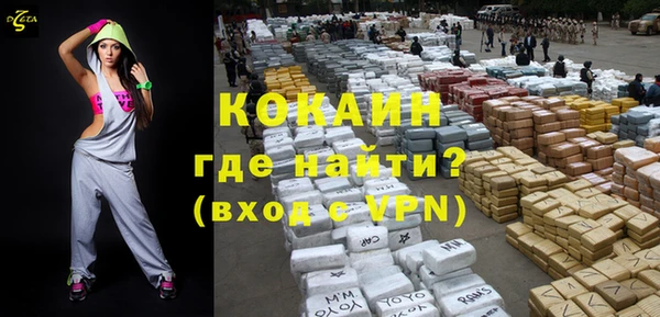 кокс Алексин