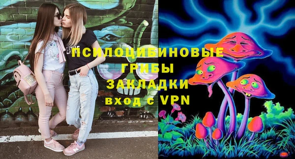 прущие крисы Алексеевка