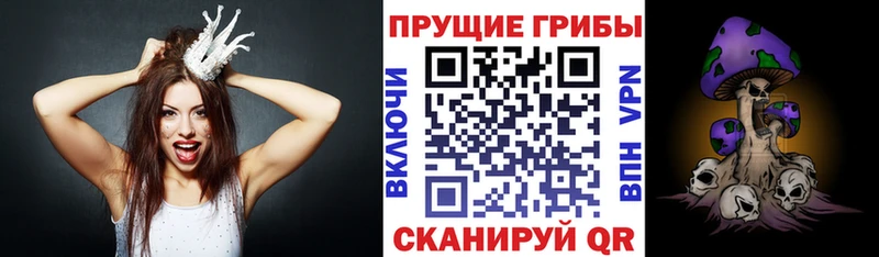 Псилоцибиновые грибы ЛСД  Купить где  Бородино 